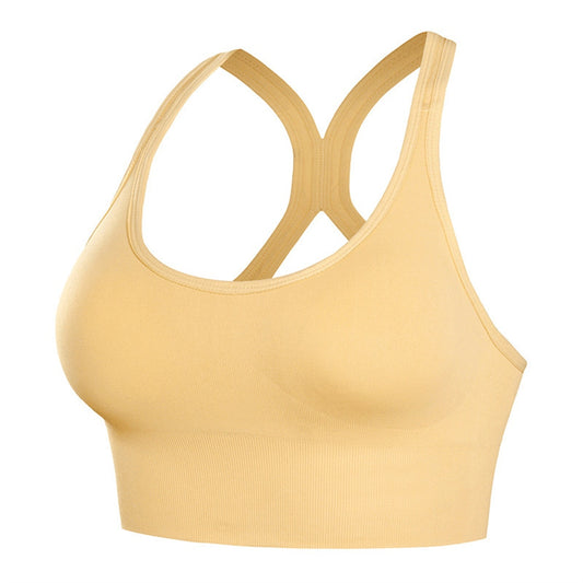 Corset Push Up Sports Bra