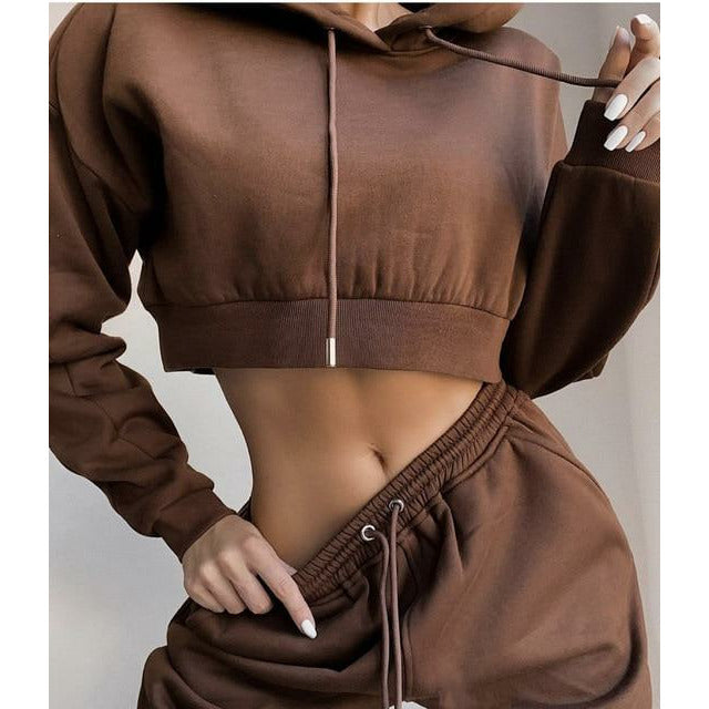 Crop Top Hoodie and Sweatpants