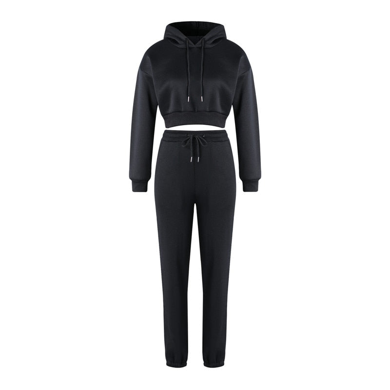 Crop Top Hoodie and Sweatpants