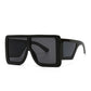 Old School Thick Frame Sunglasses
