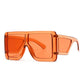 Old School Thick Frame Sunglasses